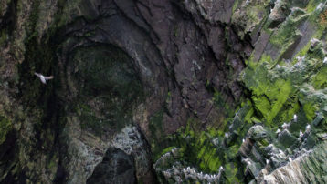 Cathedral Cave